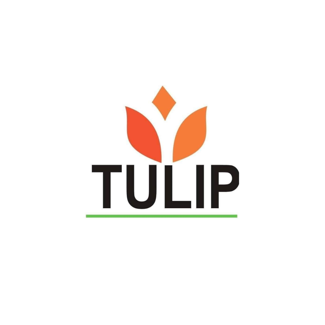 Tulip